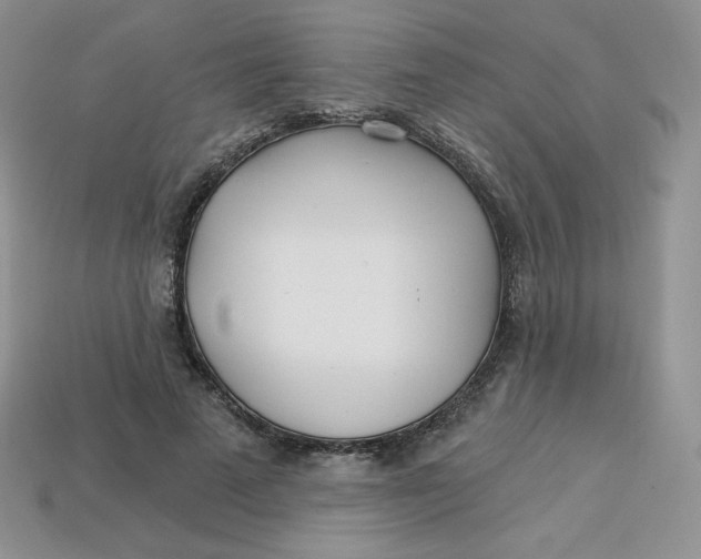 X0000113920689200910151440