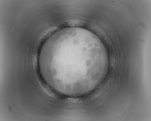 X0000113920690200910151440