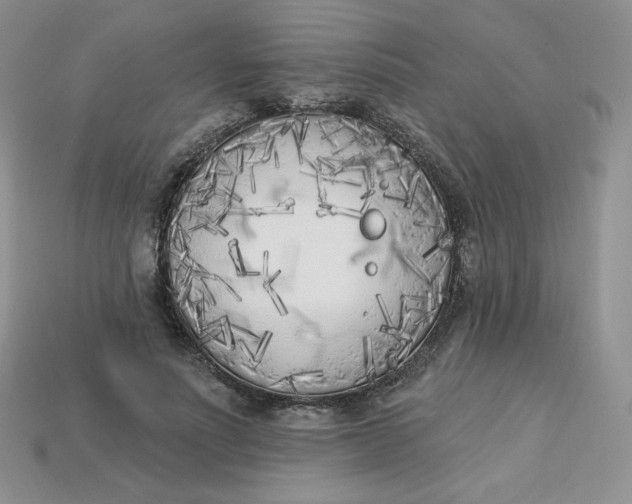 X0000113920691200910151440