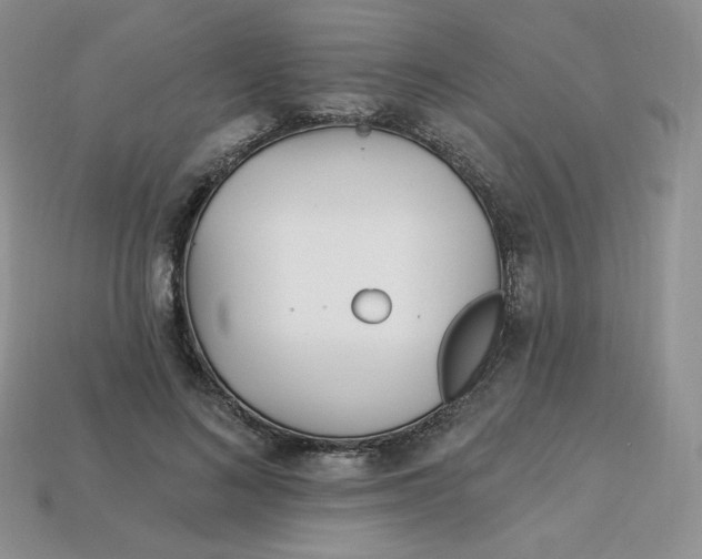 X0000113920692200910151440