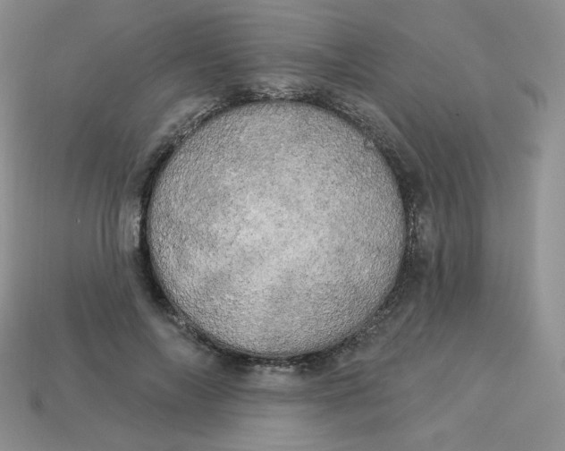 X0000113920694200910151440