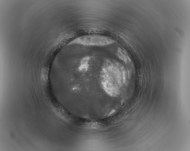 X0000113920695200910151440