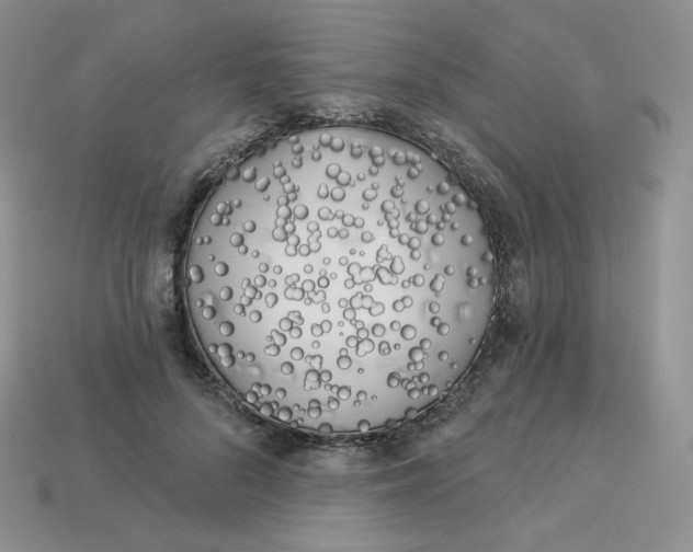 X0000113920696200910151440