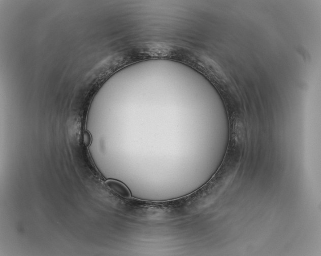 X0000113920697200910151440