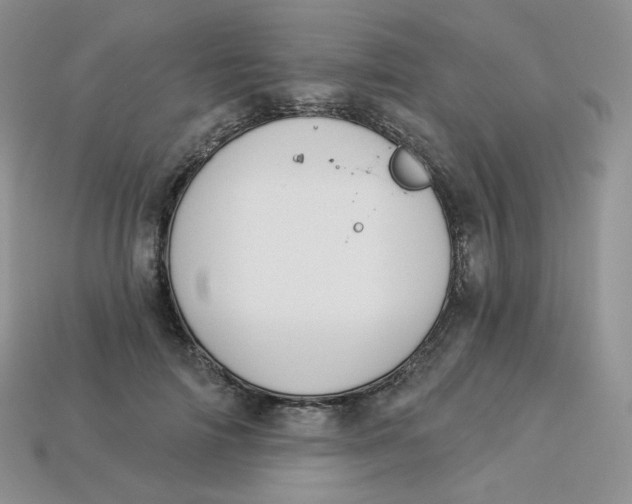 X0000113920698200910151440