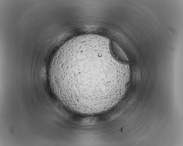 X0000113920700200910151440