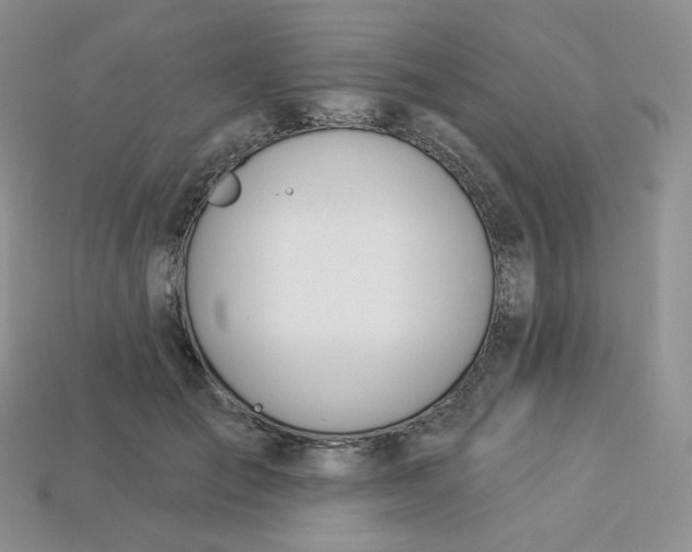 X0000113920701200910151440