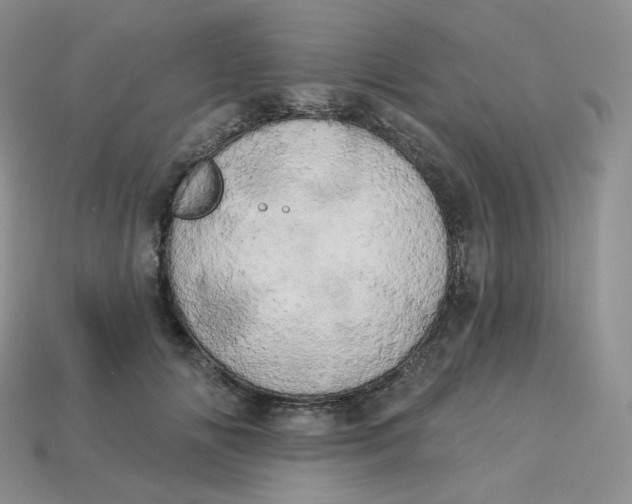 X0000113920702200910151440