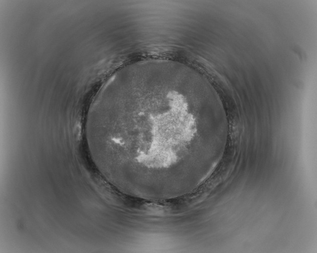 X0000113920703200910151440