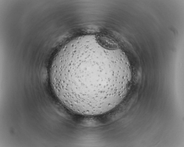 X0000113920704200910151440