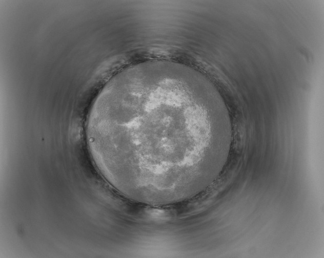 X0000113920706200910151439