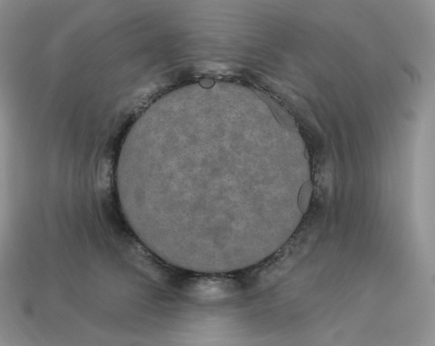 X0000113920708200910151439