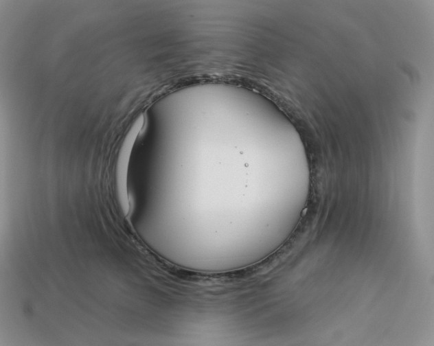 X0000113920709200910151439