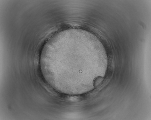 X0000113920710200910151439