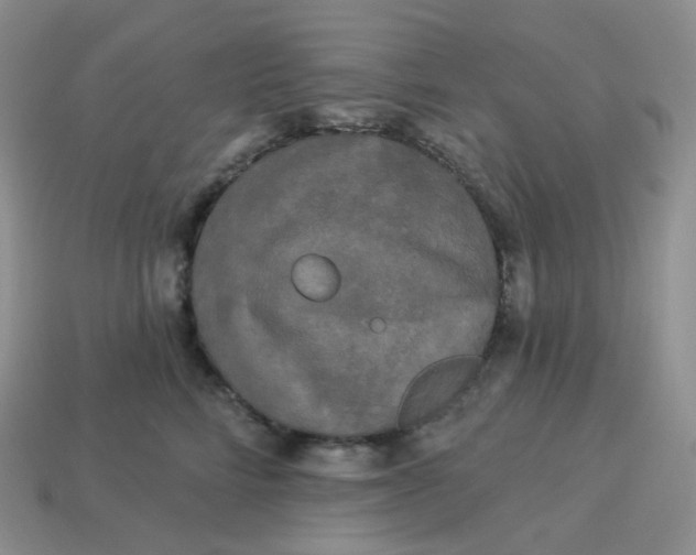 X0000113920712200910151439