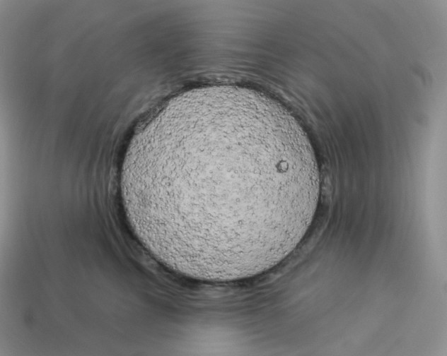 X0000113920713200910151439