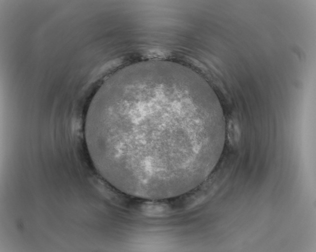X0000113920714200910151439