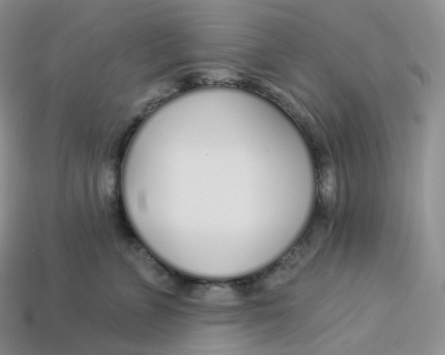 X0000113920715200910151439