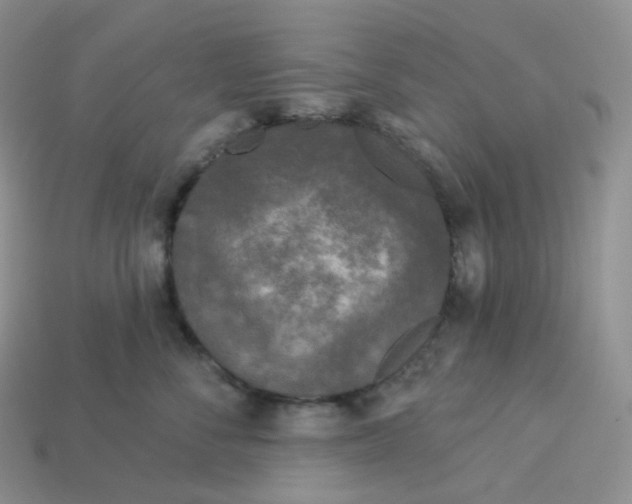 X0000113920716200910151439