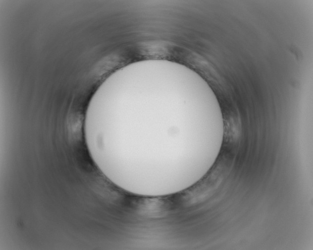 X0000113920717200910151439