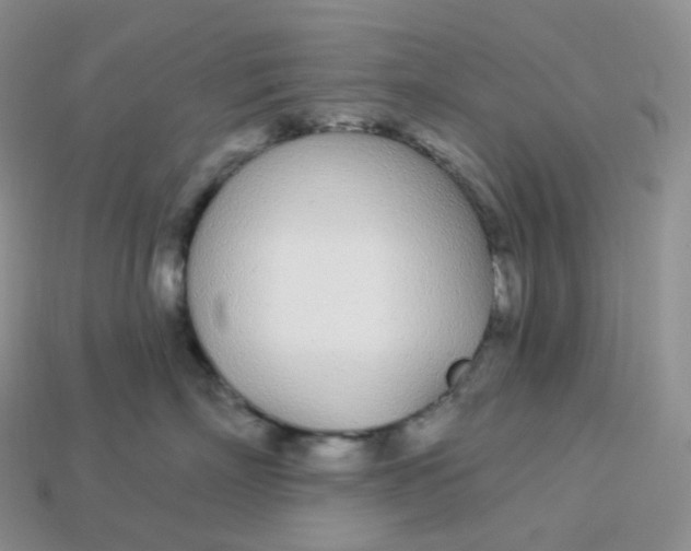 X0000113920718200910151439