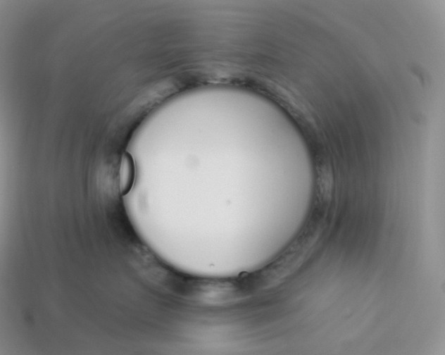 X0000113920719200910151439