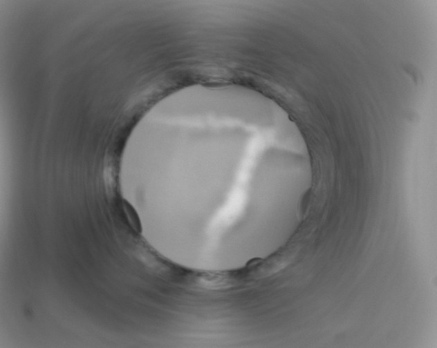 X0000113920720200910151439