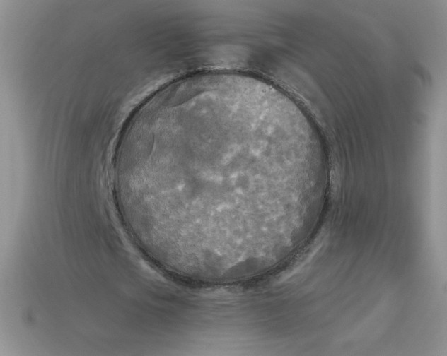 X0000113920721200910151439