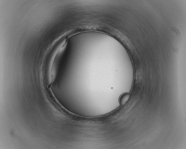 X0000113920722200910151439