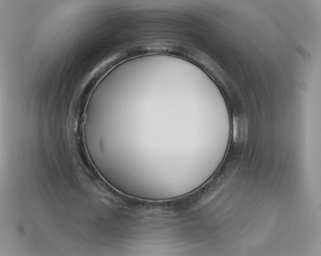 X0000113920723200910151439