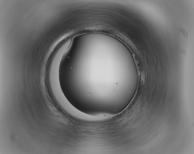 X0000113920724200910151439