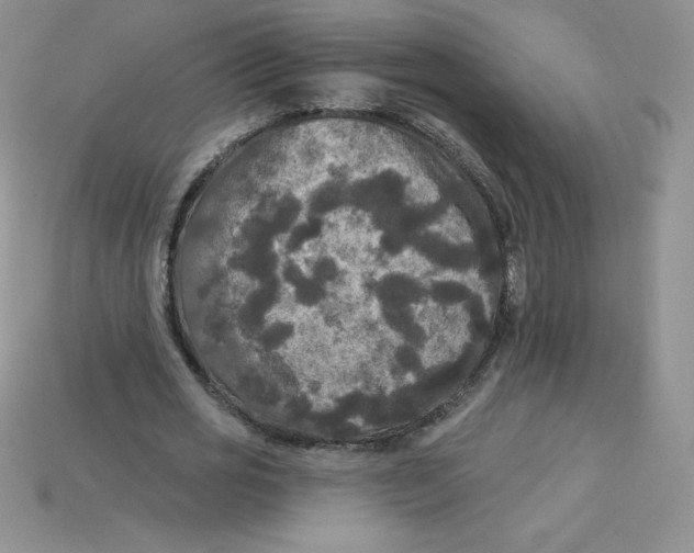 X0000113920725200910151439