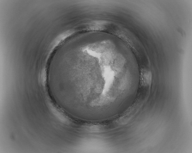 X0000113920726200910151439