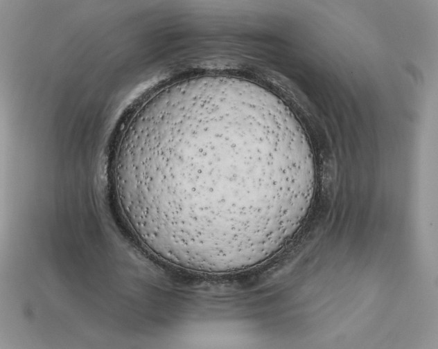 X0000113920727200910151439