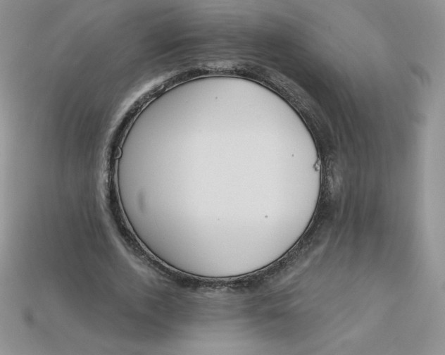 X0000113920728200910151439