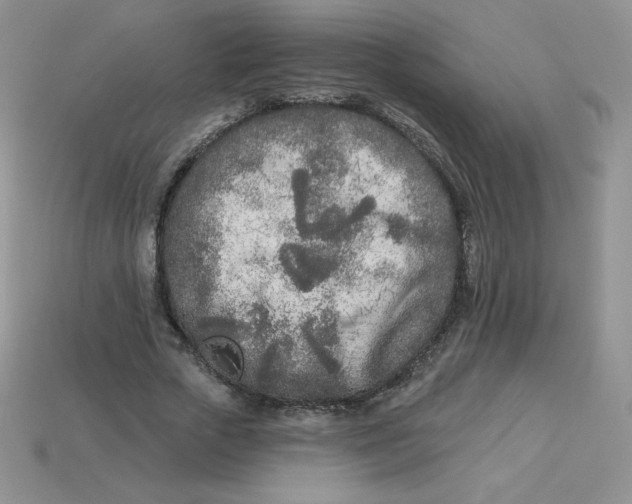 X0000113920729200910151439