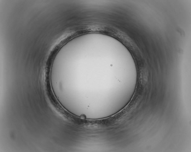 X0000113920730200910151439