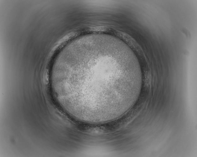 X0000113920731200910151439