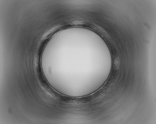 X0000113920732200910151439
