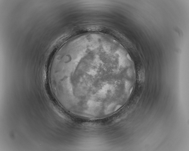 X0000113920733200910151439