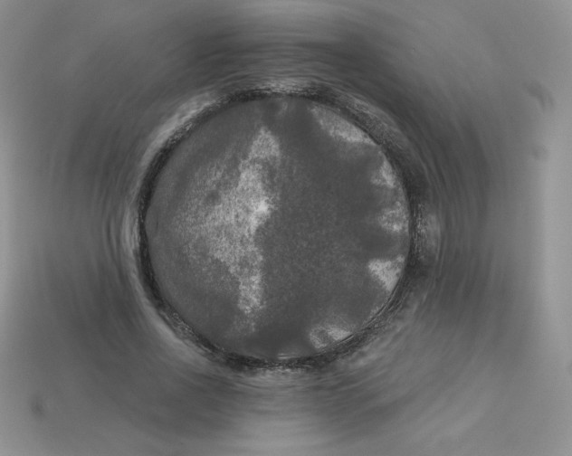 X0000113920734200910151439