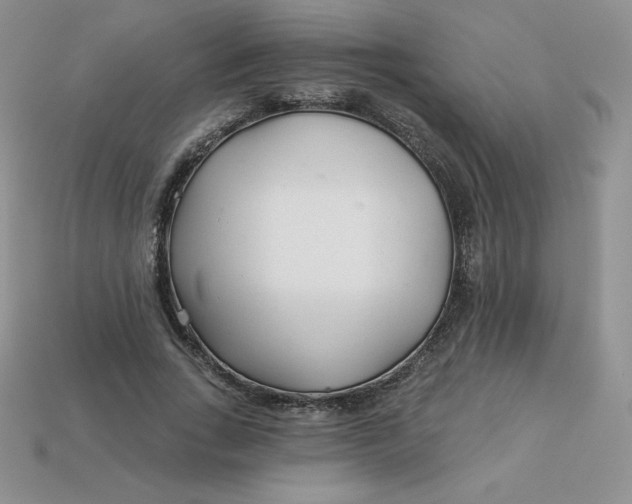 X0000113920735200910151439