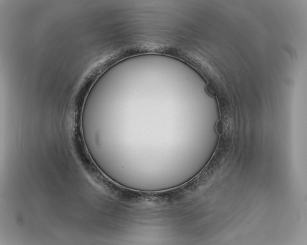 X0000113920736200910151439