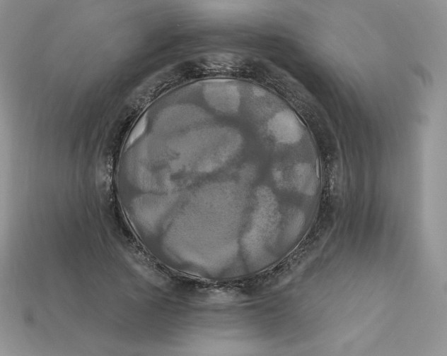 X0000113920737200910151439
