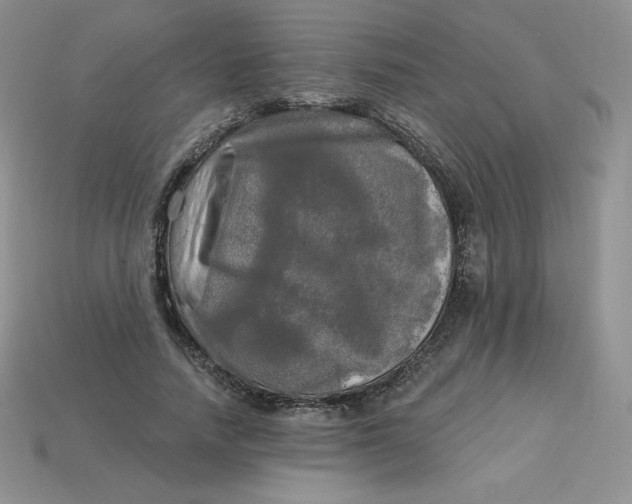 X0000113920738200910151439
