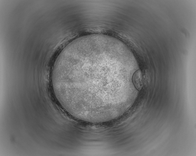 X0000113920739200910151439
