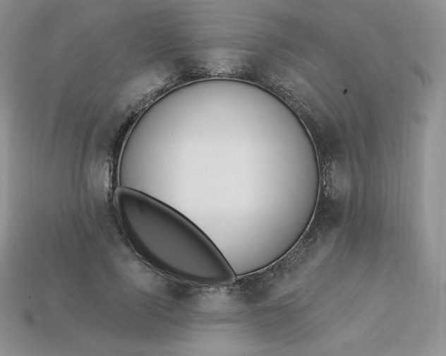 X0000113920740200910151439