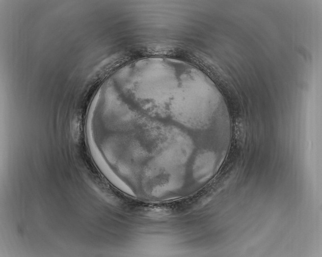 X0000113920741200910151439