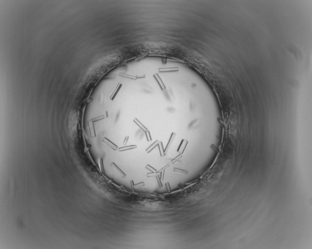 X0000113920742200910151439