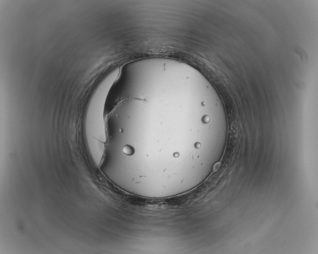X0000113920744200910151439